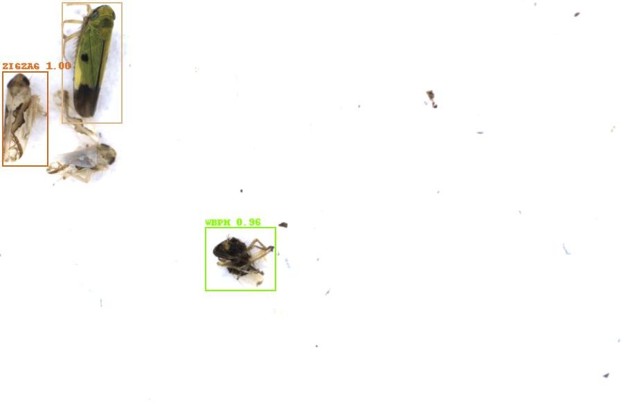 Image 9